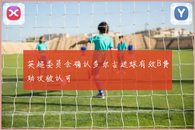 英超委员会确认多尔古进球有效B费助攻被认可